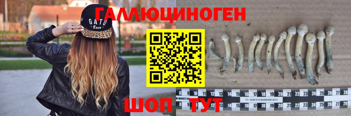 Псилоцибиновые грибы Magic Shrooms  Галлюциногенные грибы мухоморы  Вход с VPN  Пушкино 